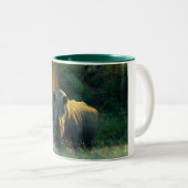 Rhino-stare koffiekogels en bekertjes tweekleurige koffiemok (Voorkant rechts)