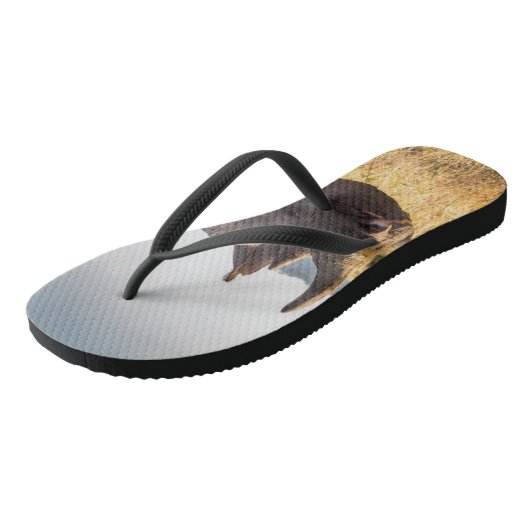 Rhino teenslippers (Schuin)