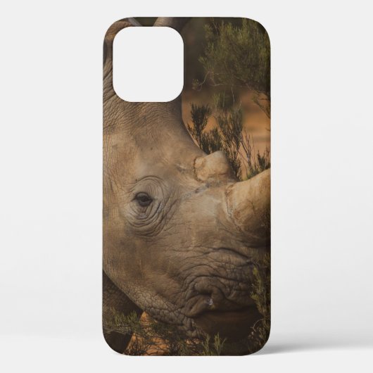 RHINO WILDE DIEREN Case-Mate iPhone CASE (Achterkant)