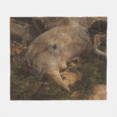 RHINO WILDE DIEREN FLEECE DEKEN (Voorkant (Horizontaal))