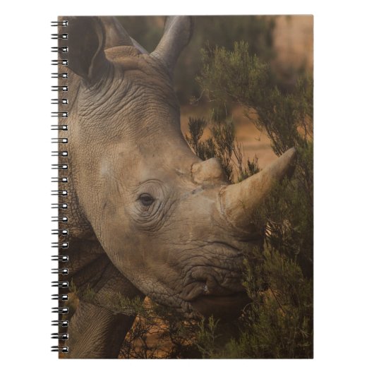 RHINO WILDE DIEREN NOTITIEBOEK (Voorkant)