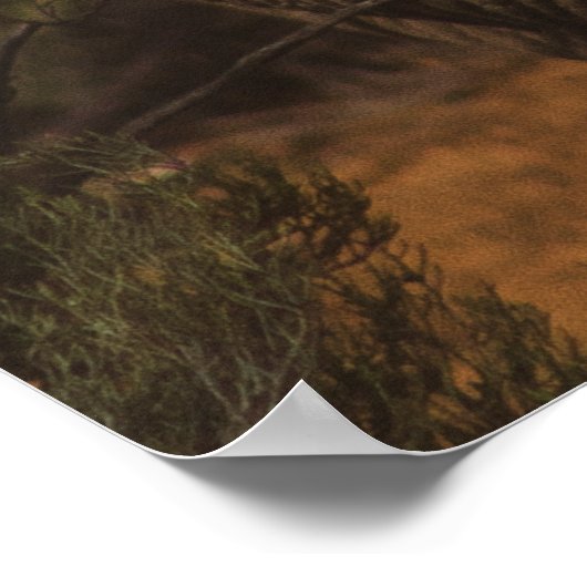 RHINO WILDE DIEREN POSTER (Hoek)