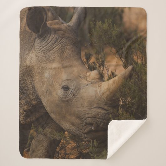 RHINO WILDE DIEREN SHERPA DEKEN (Voorkant)