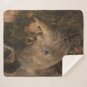 RHINO WILDE DIEREN SHERPA DEKEN (Voorkant (horizontaal))