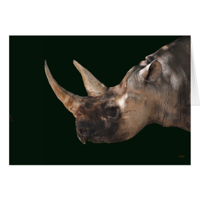 Rhinoceros (Voorkant Horizontaal)