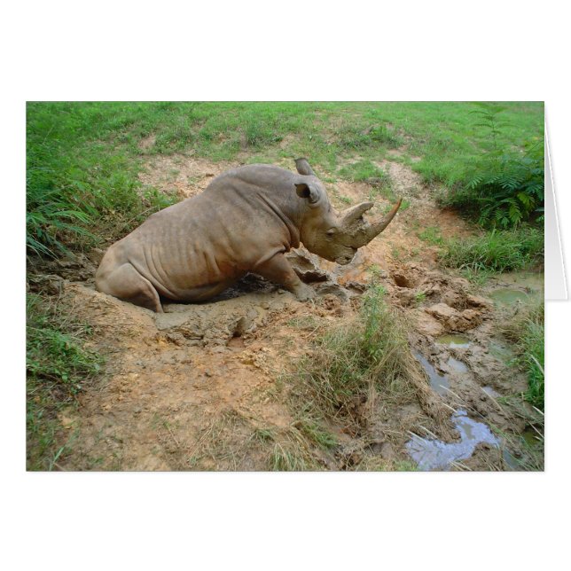 Rhinoceros (Voorkant Horizontaal)