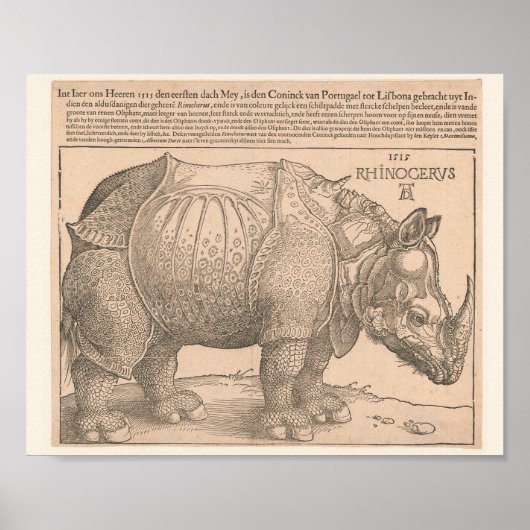 Rhinoceros - Albrecht Dürer 1515 Woodcut Gravure Poster (Voorkant)