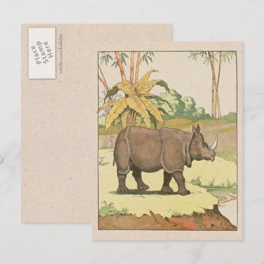 Rhinoceros-artikeltekening Briefkaart (Voorkant / Achterkant)