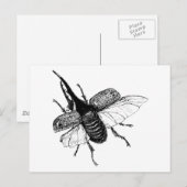 Rhinoceros Beetle  Hout Engraving Briefkaart (Voorkant / Achterkant)