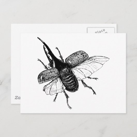 Rhinoceros Beetle  Hout Engraving Briefkaart (Voorkant / Achterkant)