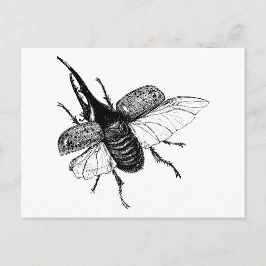 Rhinoceros Beetle  Hout Engraving Briefkaart (Voorkant)