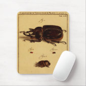 Rhinoceros Beetles Muismat (Met muis)