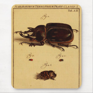 Rhinoceros Beetles Muismat