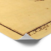 Rhinoceros Beetles Poster (Hoek)