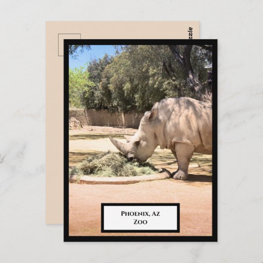 Rhinoceros Briefkaart (Voorkant / Achterkant)