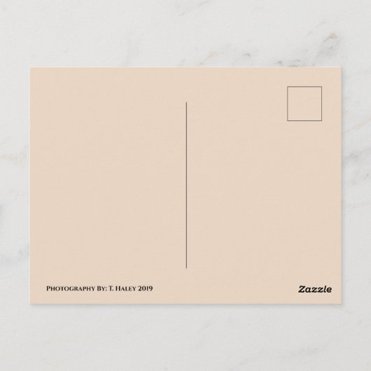 Rhinoceros Briefkaart (Achterkant)