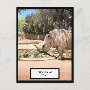 Rhinoceros Briefkaart
