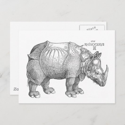 Rhinoceros Briefkaart (Voorkant / Achterkant)
