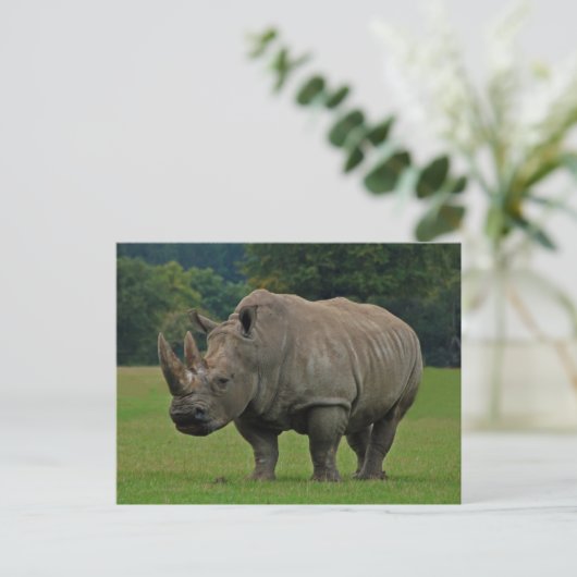 Rhinoceros briefkaart (Staand voorkant)