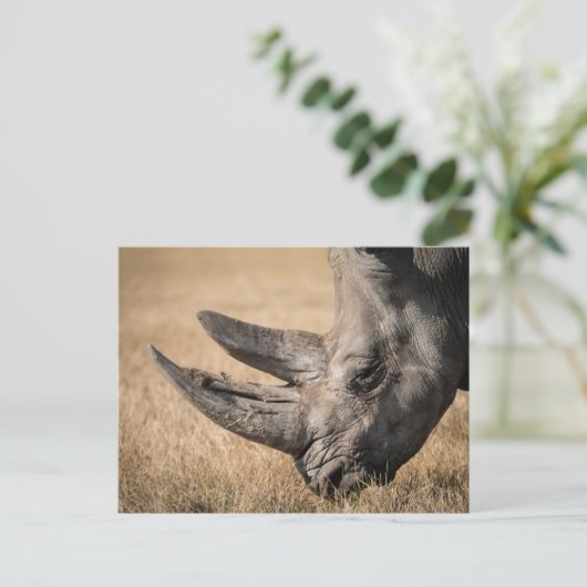 Rhinoceros Briefkaart (Staand voorkant)
