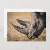 Rhinoceros Briefkaart (Voorkant / Achterkant)