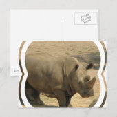 Rhinoceros Briefkaart (Voorkant / Achterkant)