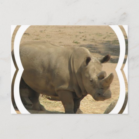 Rhinoceros Briefkaart (Voorkant)