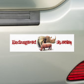Rhinoceros de bedreigde diersoort ticker bumpersticker (Op auto)