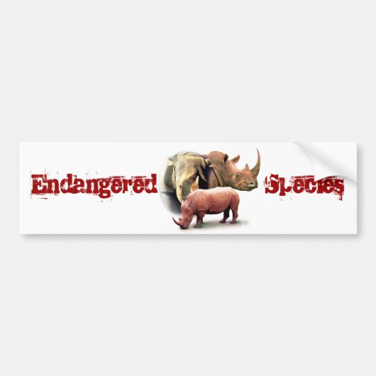 Rhinoceros de bedreigde diersoort ticker bumpersticker (Voorkant)