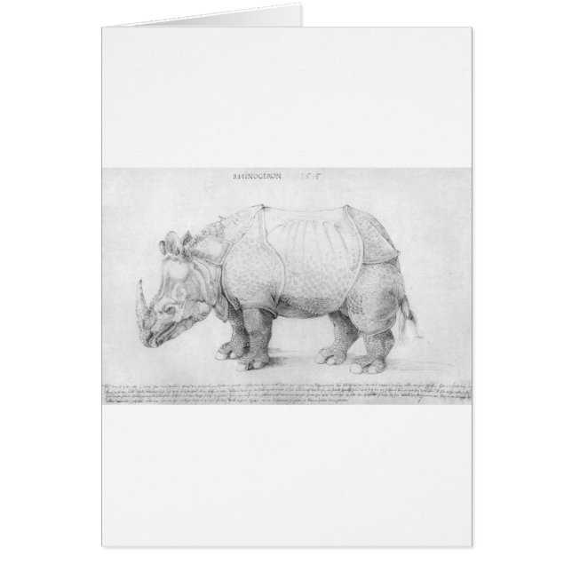 Rhinoceros door Albrecht Durer (Voorkant)