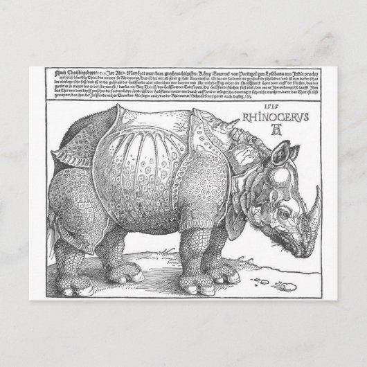 Rhinoceros door Albrecht Durer Briefkaart (Voorkant)
