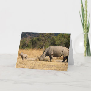Rhinoceros familie Wenskaart Kaart