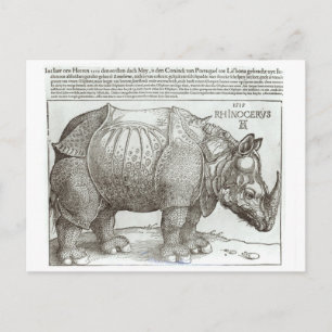 Rhinoceros, gedrukt op Maximilian I (1459-1519) Briefkaart