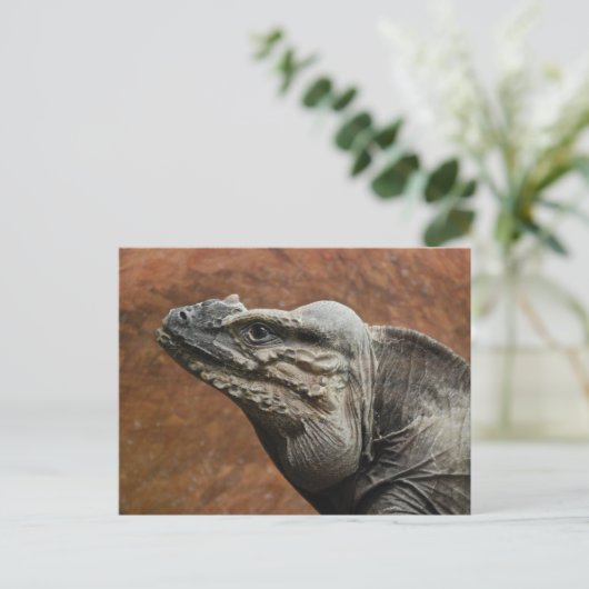 Rhinoceros Iguana Briefkaart (Staand voorkant)