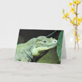 Rhinoceros Iguana Kaart (Gele Bloem)