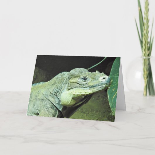 Rhinoceros Iguana Kaart (Voorkant)