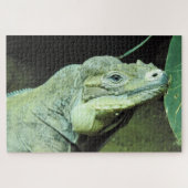 Rhinoceros Iguana Legpuzzel (Horizontaal)