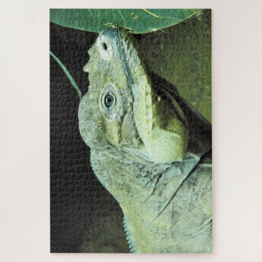 Rhinoceros Iguana Legpuzzel (Verticaal)