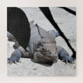 Rhinoceros Iguana Legpuzzel (Verticaal)
