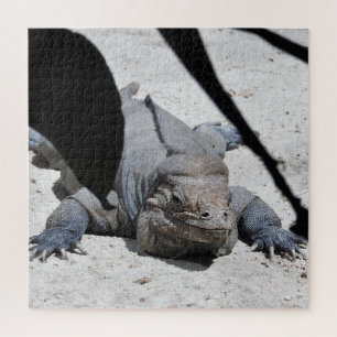 Rhinoceros Iguana Legpuzzel