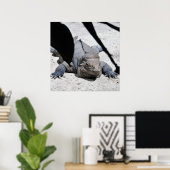 Rhinoceros Iguana Poster (Thuiskantoor)