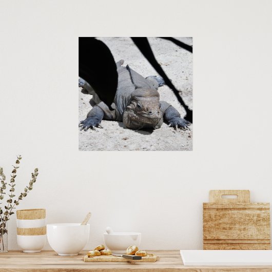 Rhinoceros Iguana Poster (Keuken)