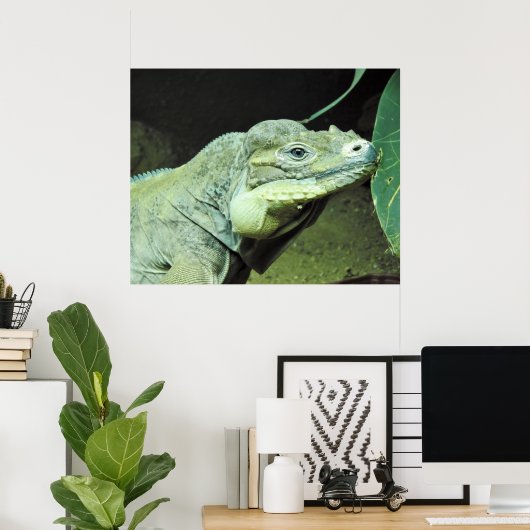 Rhinoceros Iguana Poster (Thuiskantoor)