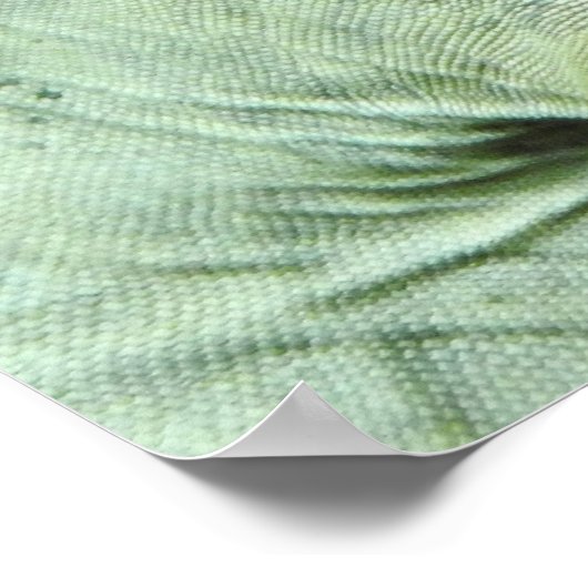 Rhinoceros Iguana Poster (Hoek)