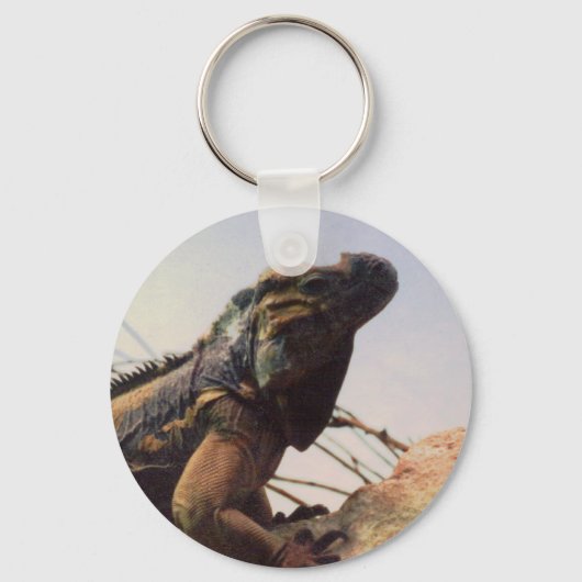 Rhinoceros Iguana Sleutelhanger (Voorkant)