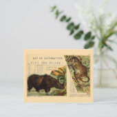 Rhinoceros Jaguar Dierlijke Illustraties Briefkaart (Staand voorkant)