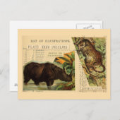 Rhinoceros Jaguar Dierlijke Illustraties Briefkaart (Voorkant / Achterkant)