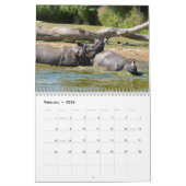 Rhinoceros-kalender Kalender (Feb 2026)