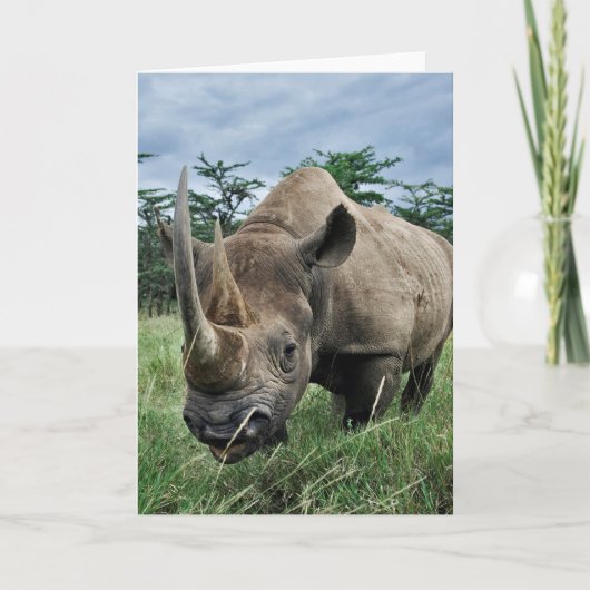 Rhinoceros| Kenia Kaart (Voorkant)