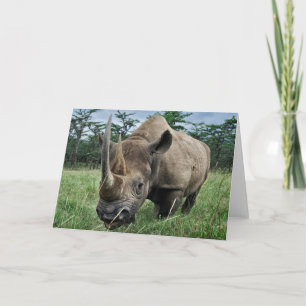 Rhinoceros  Kenia Kaart